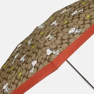 Coach | Accessories | Coach X Peanuts Uv Protection Mini